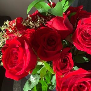 Meet your Posher, Jenna